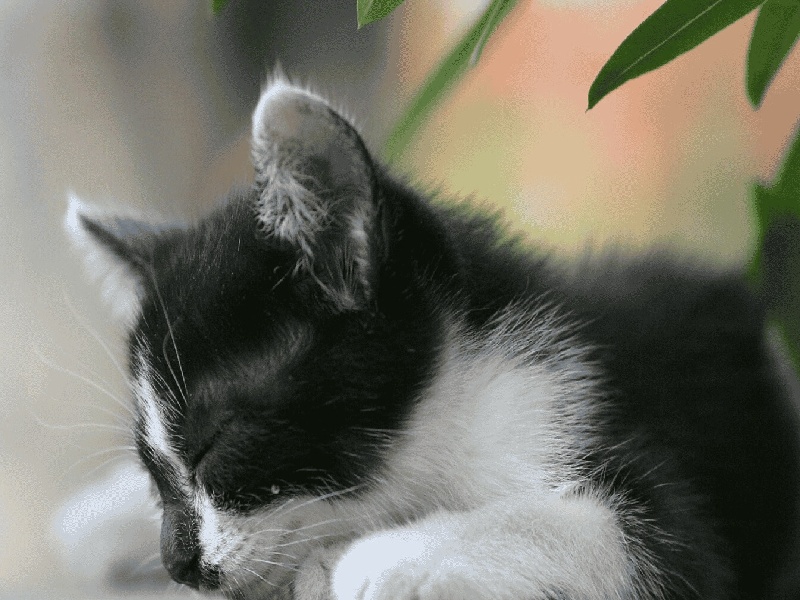 未婚可否试管怀孕，医院配精子试管