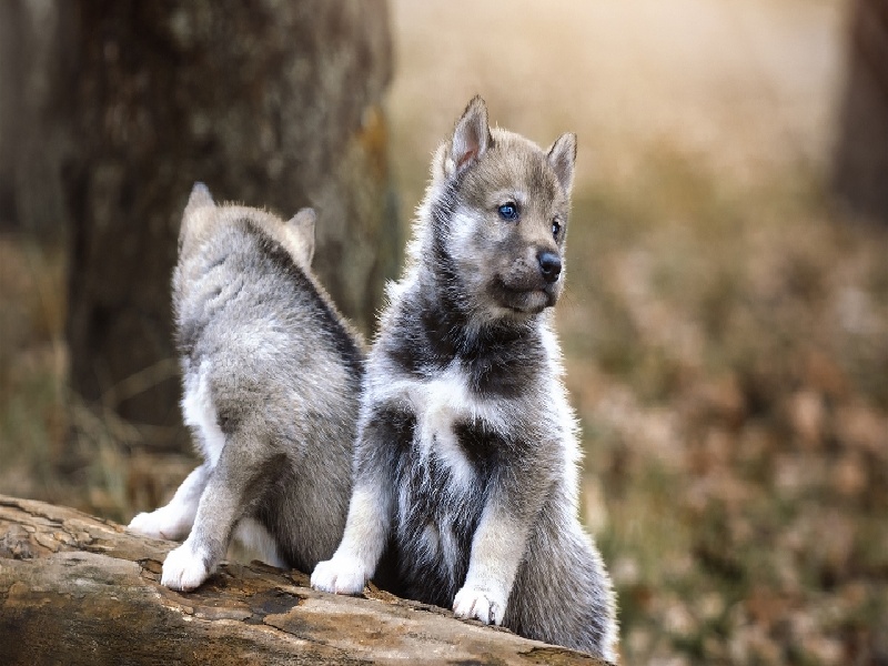 武汉试管住哪里，34岁女人试管