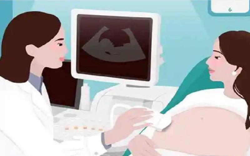 沿寿辅酶试管代生