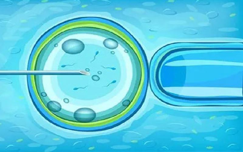 长岭县试管代生